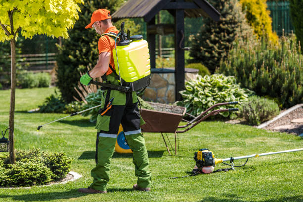 Best Bee and Wasp Removal  in Whitefish Bay, WI